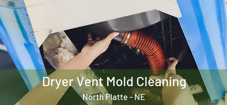 Dryer Vent Mold Cleaning North Platte - NE