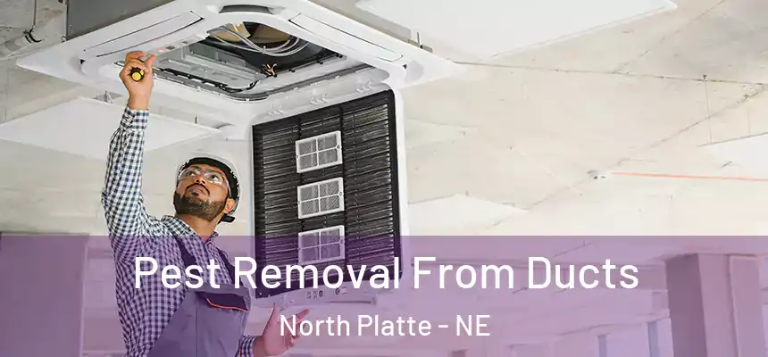  Pest Removal From Ducts North Platte - NE