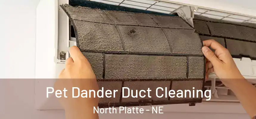 Pet Dander Duct Cleaning North Platte - NE