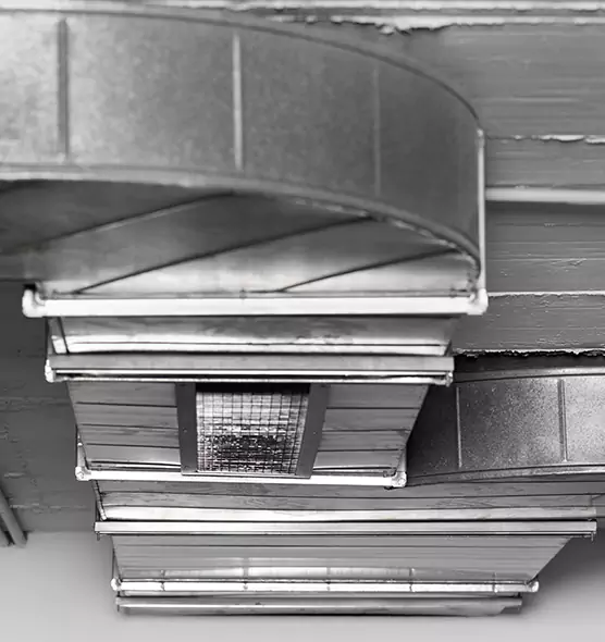 Professional Air Duct Pest Removal in North Platte, NE